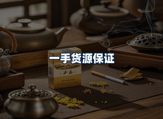 专业团队办公环境